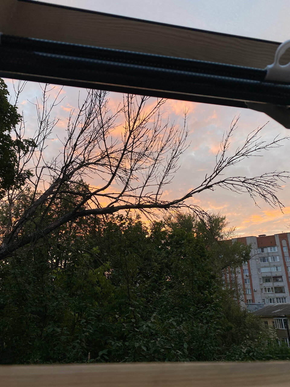 Отель Царь Тула-59